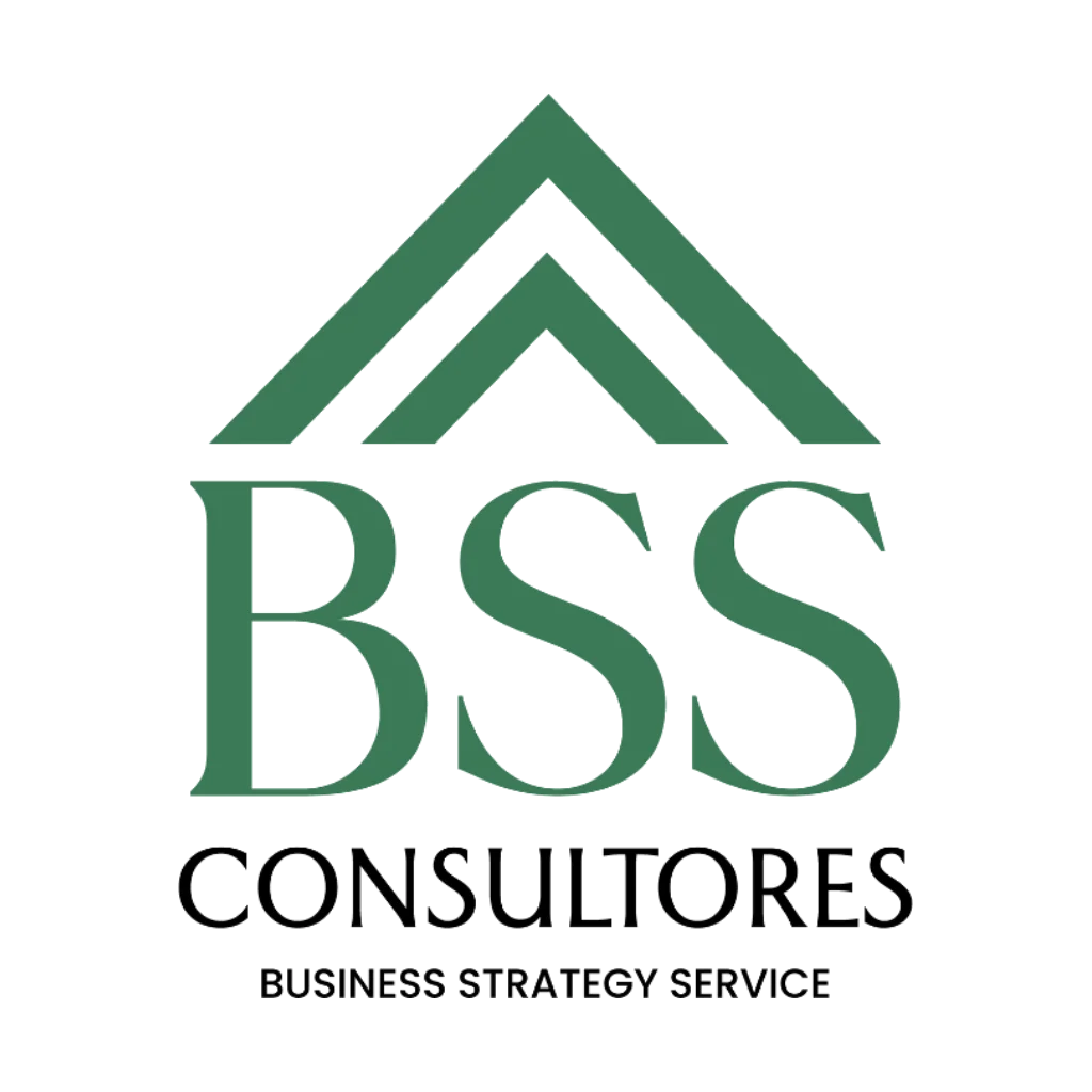 BSS Consultores